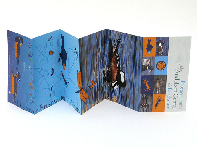 audubon001