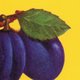 three plums